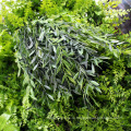 DIY искусственный крытый вертикальный сад зеленая стена с сертификатом CE 